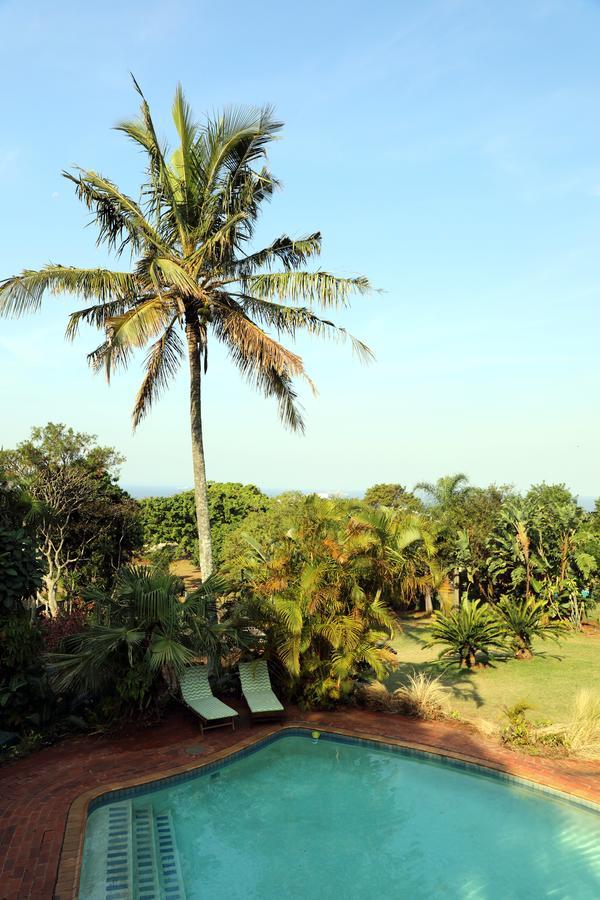 Kingston Place Guesthouse Durban Kültér fotó